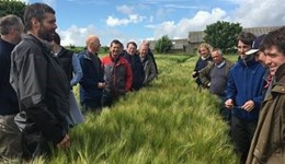 Getting a step ahead by using farm business analysis tools